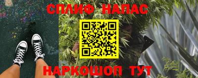 гашик Ярцево