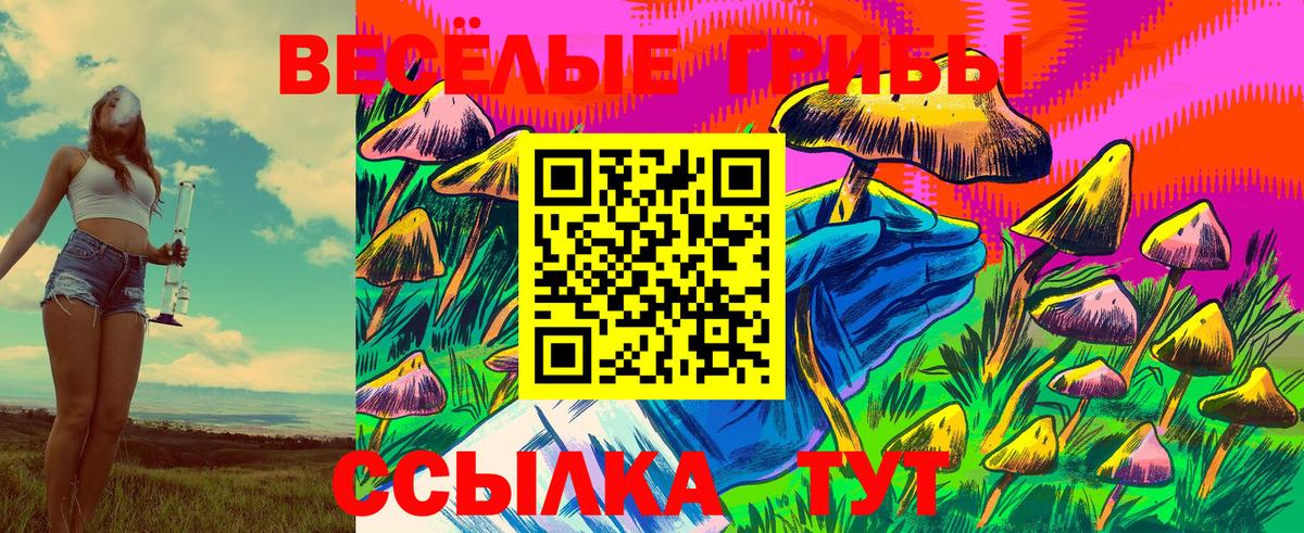Галлюциногенные грибы прущие грибы Балашов